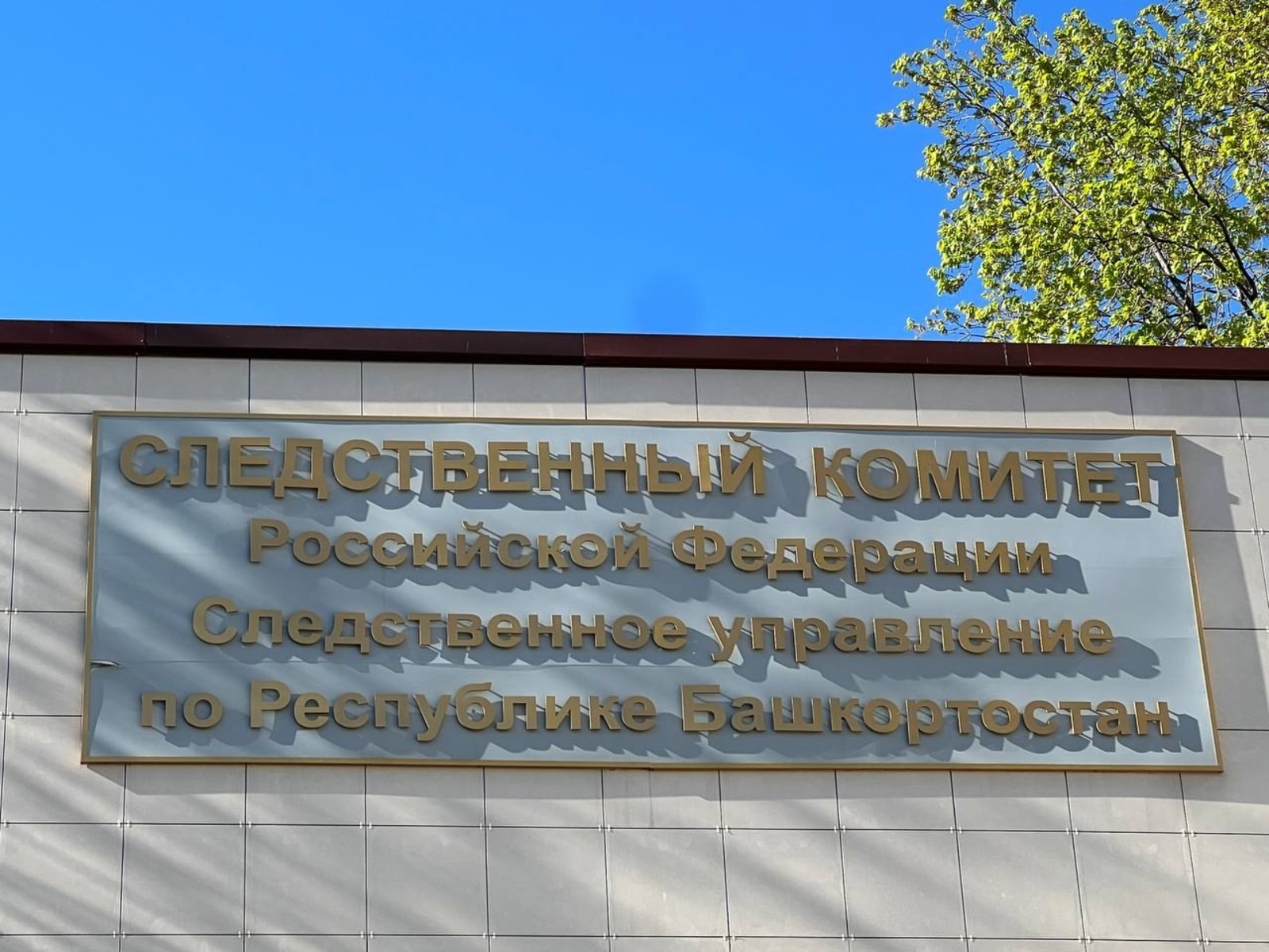 В Башкортостане заочно приговорили уроженца за распространение ложной информации