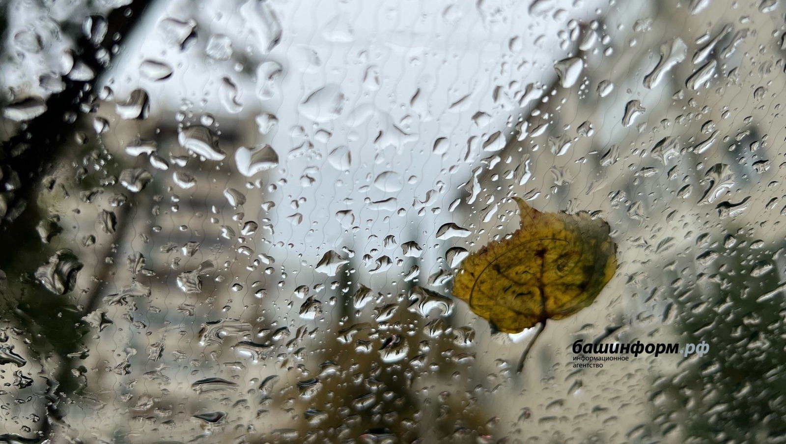 Синоптики сообщили о погоде в Башкирии в предстоящие выходные