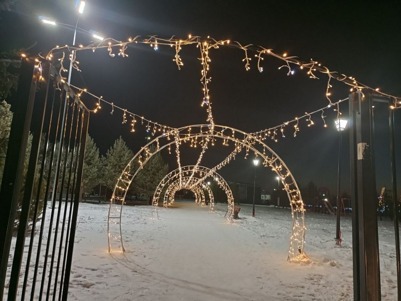 Раз, два, три - елочка, гори!