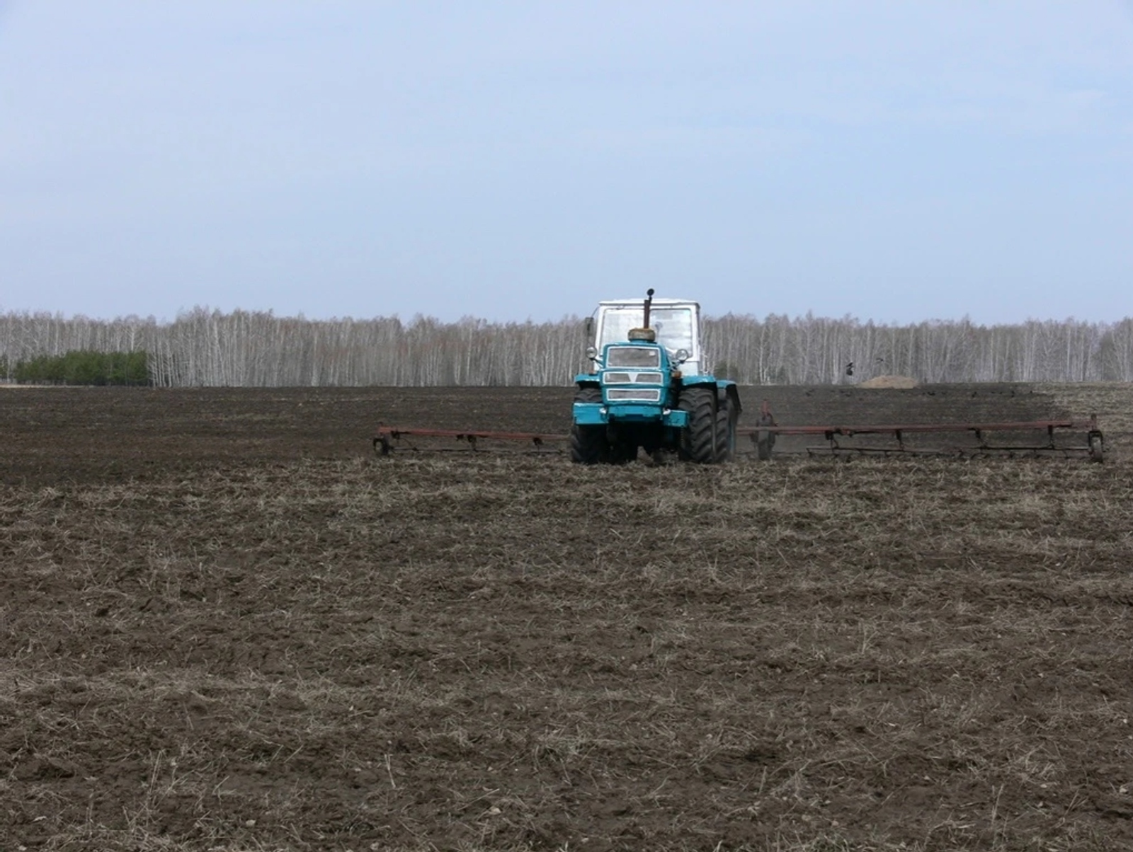В Башкирии начали «подкармливать» озимые