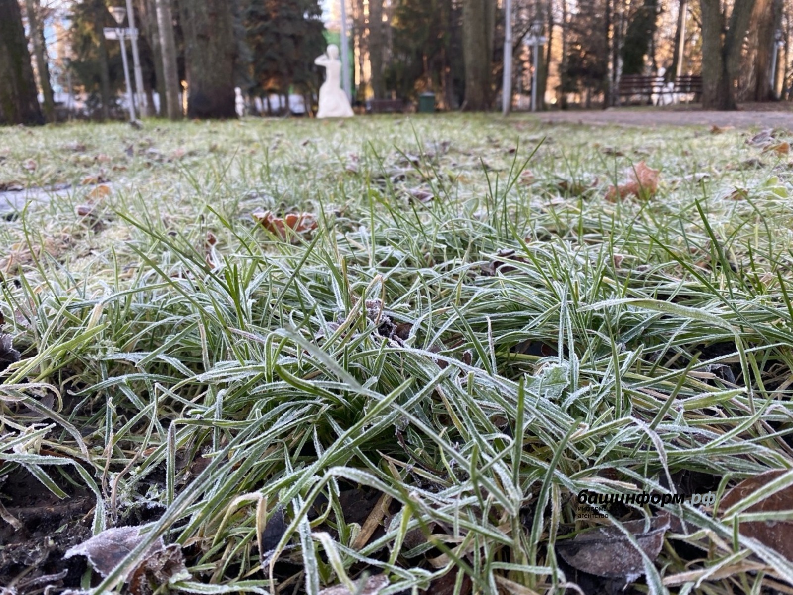 На Башкирию надвигается непогода