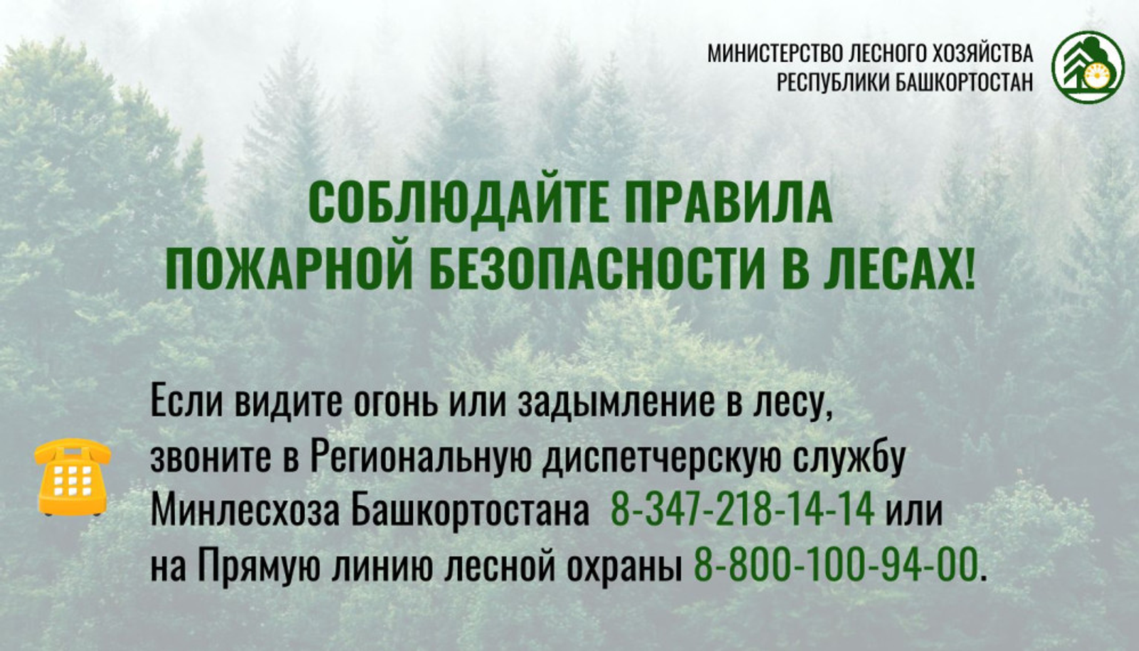 Обстановка с пожарами в лесах Башкирии на 2 июня