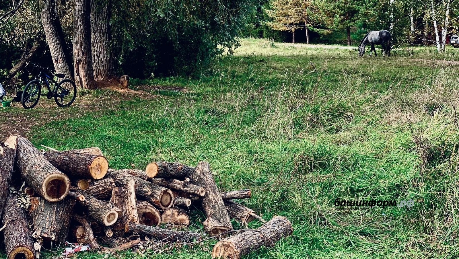 Жителям Башкирии напомнили, как безопасно отдохнуть в предстоящие праздники