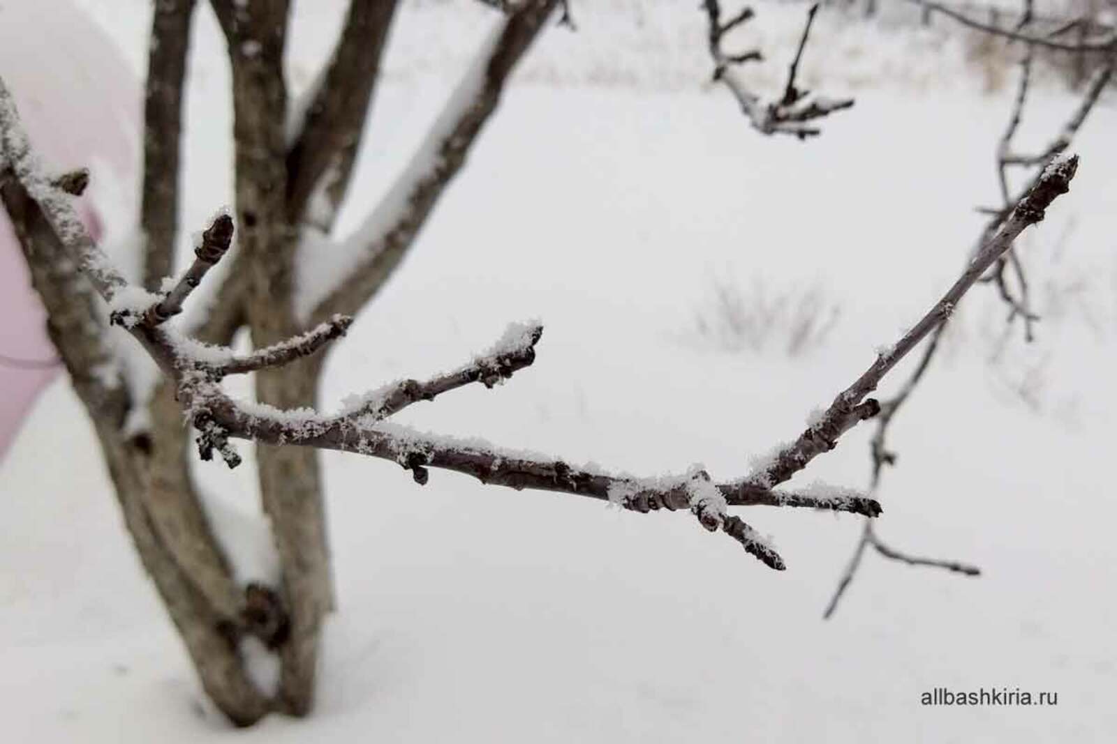 Снег, ветер и гололед: какая погода ждет жителей Башкирии 18 февраля