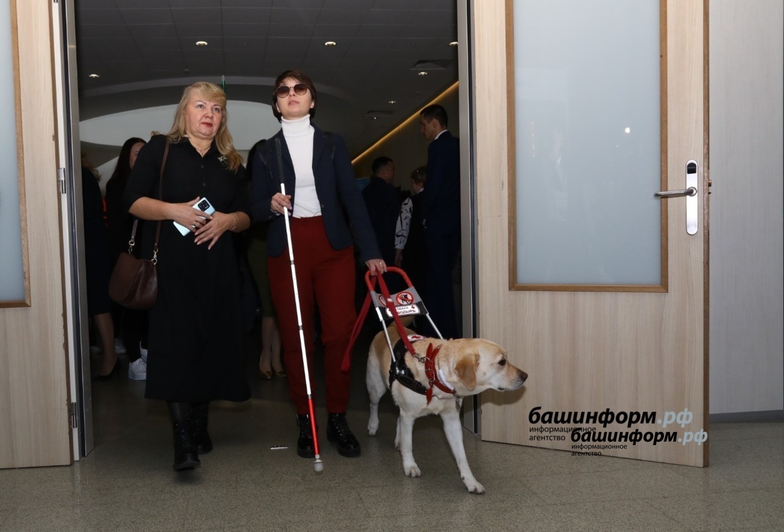 В 2026 году станут компенсировать стоимость питания для собак-проводников