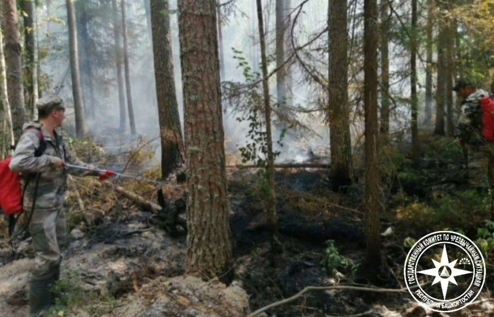 В Башкирии потушили два лесных пожара