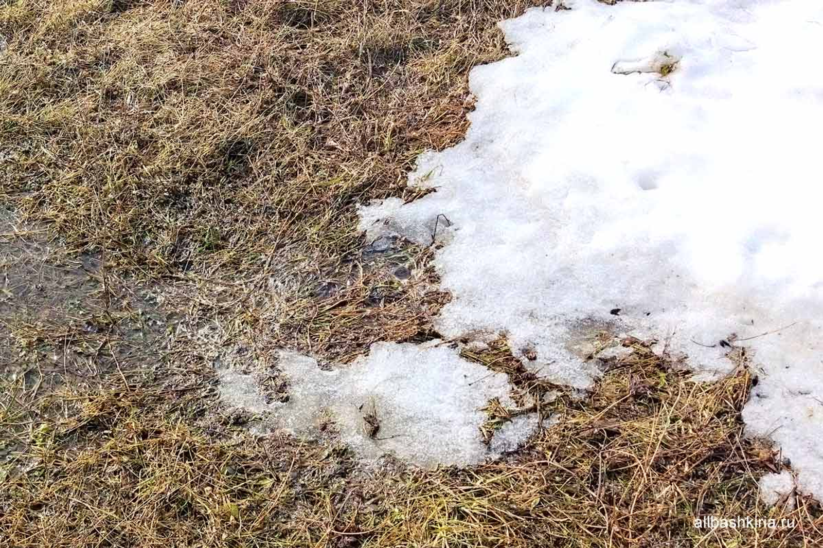 Потепление до +21°С ожидается в Башкирии 30 марта