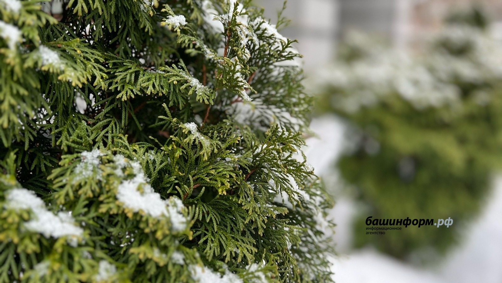 В Башкирии похолодает до -7°