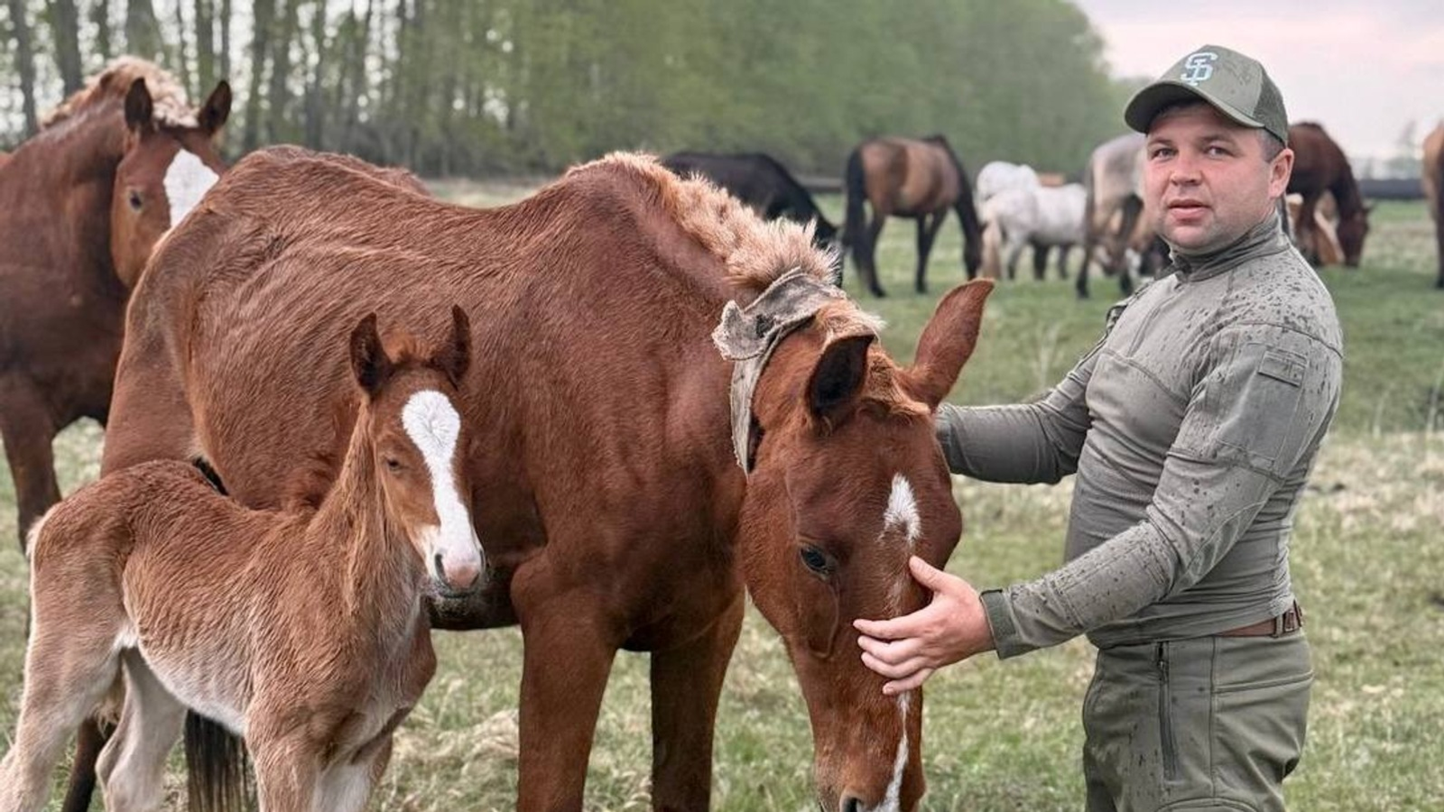 В Башкирии приняли закон об увеличении земель фермеров в 40 раз