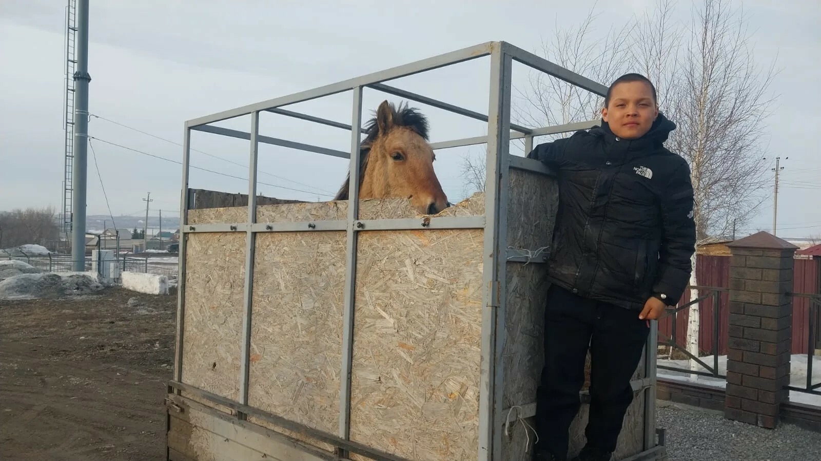 11-летний всадник Рафис Тазетдинов из Хайбуллинского района выиграл… жеребенка!