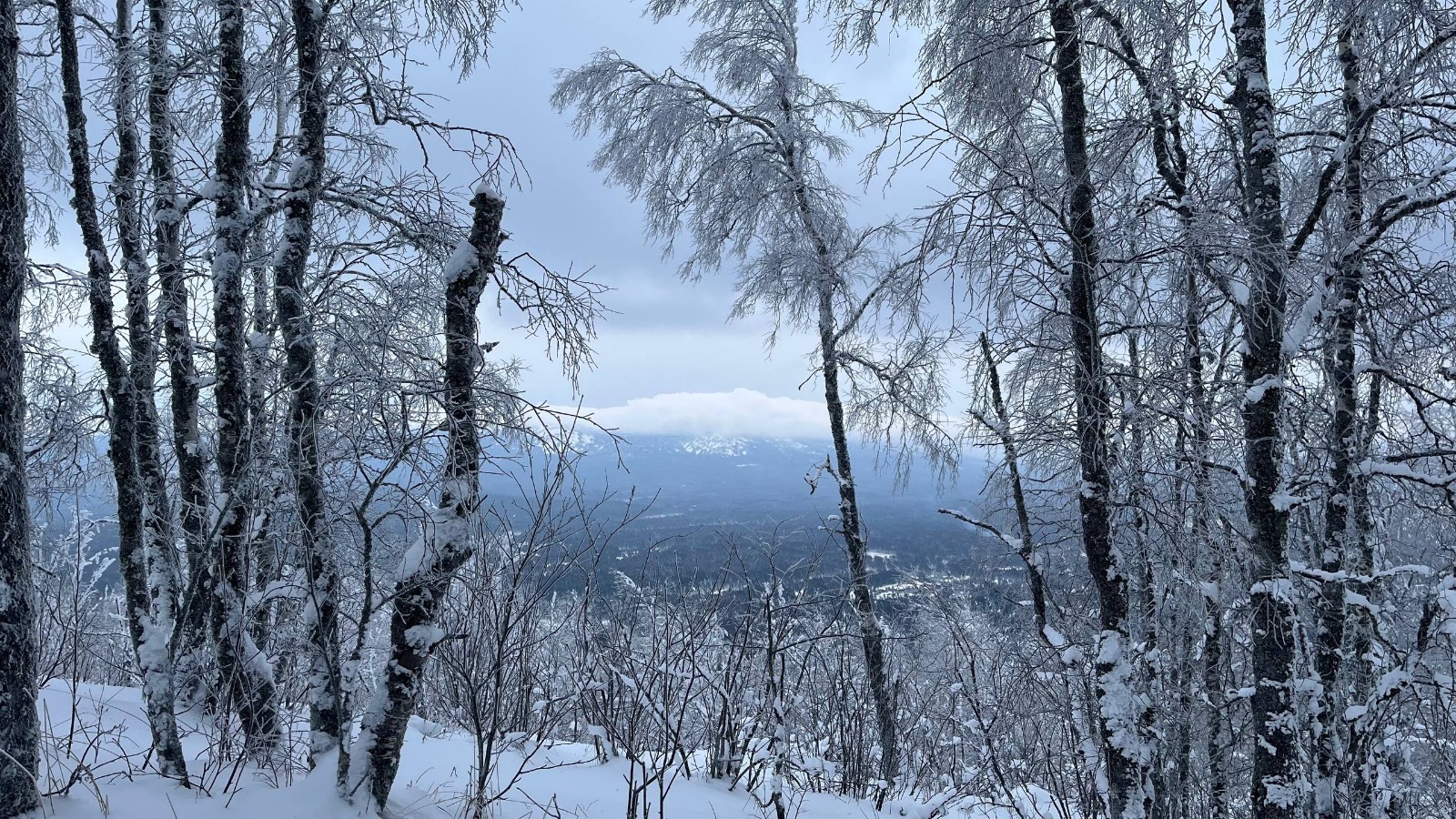 В Башкирии за первые дни января выпала треть нормы снега