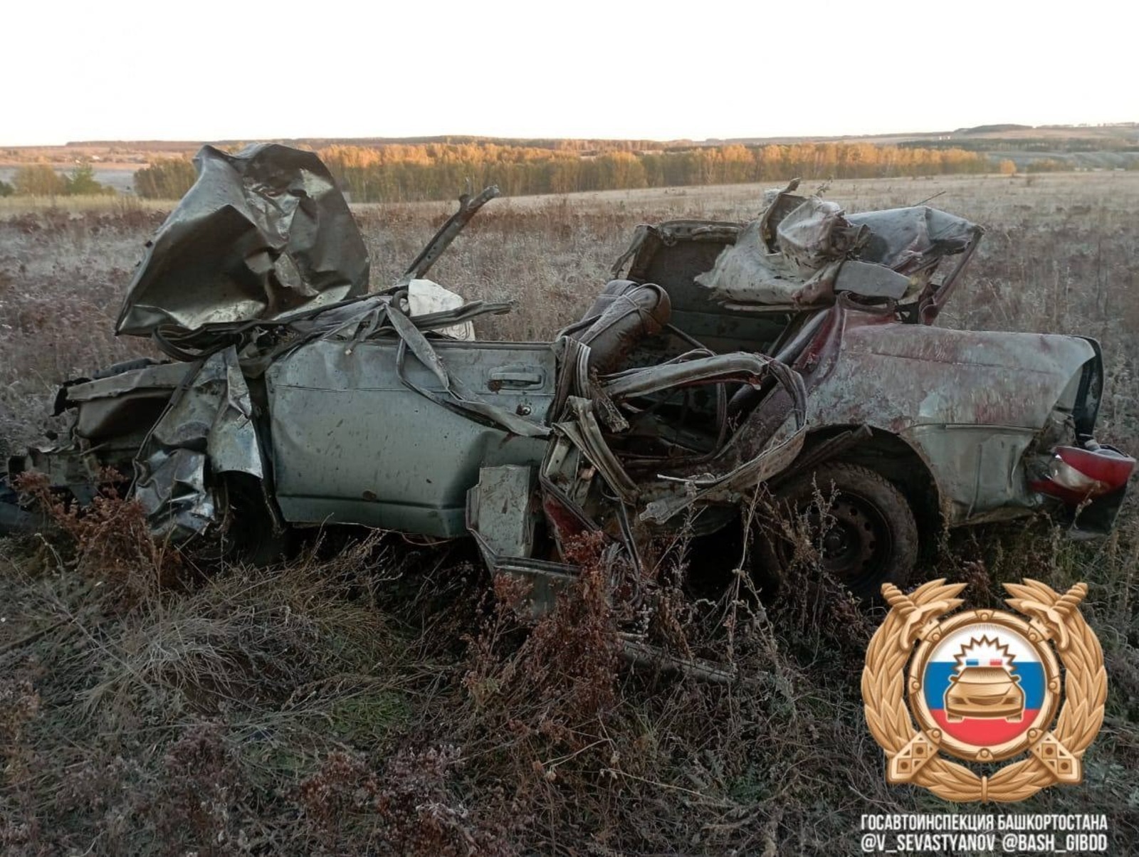 В Башкирии трое молодых людей погибли в ДТП с лошадью