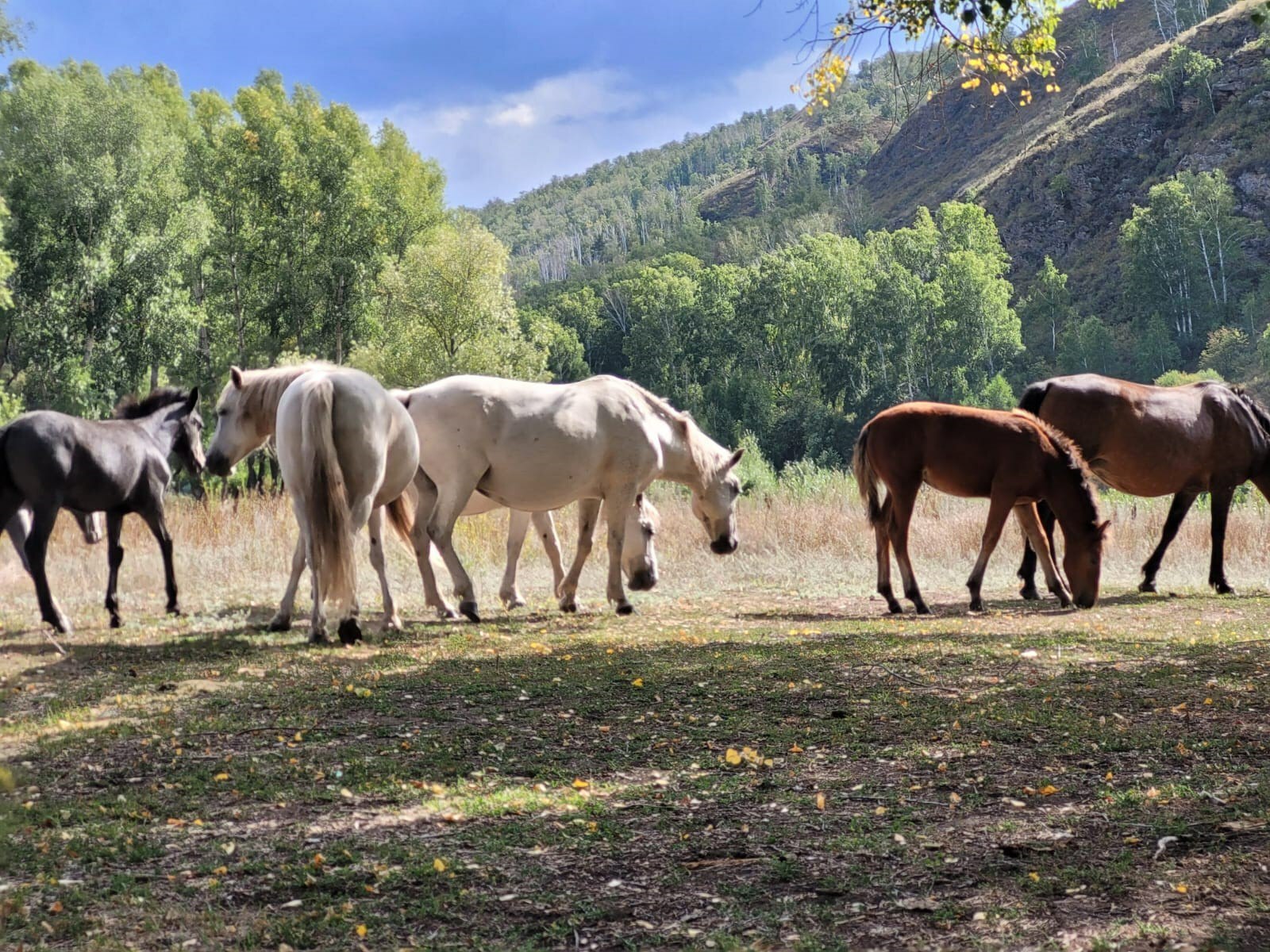 В фотоконкурсе от молодёжки и профсоюза «Башмеди» приняло участие 23 работника