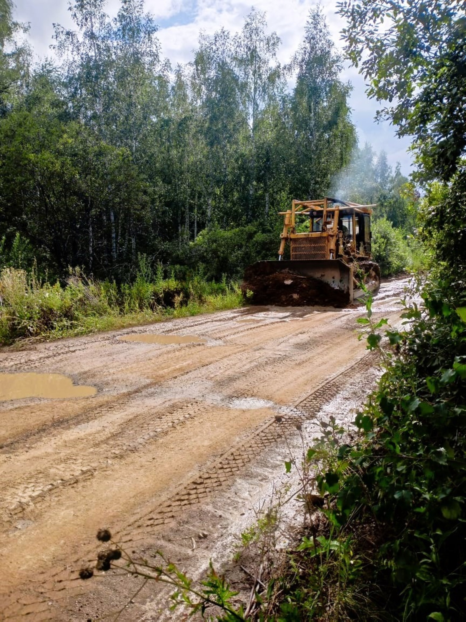 В Башкирии активно развивают сеть лесных дорог
