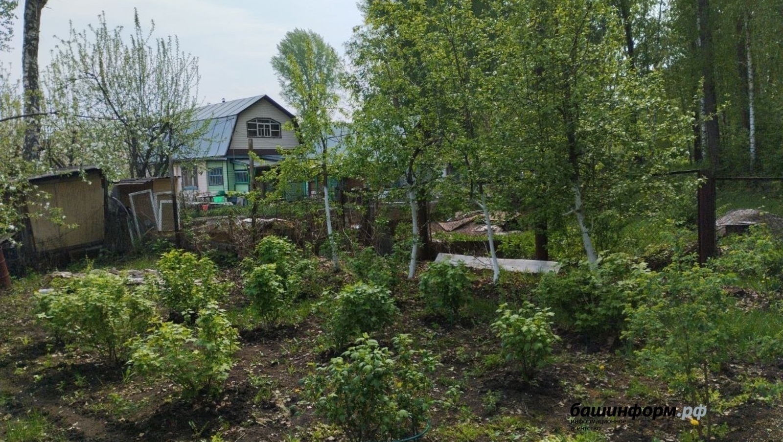 Садоводам Башкирии напомнили о штрафах за нарушения пожарной безопасности