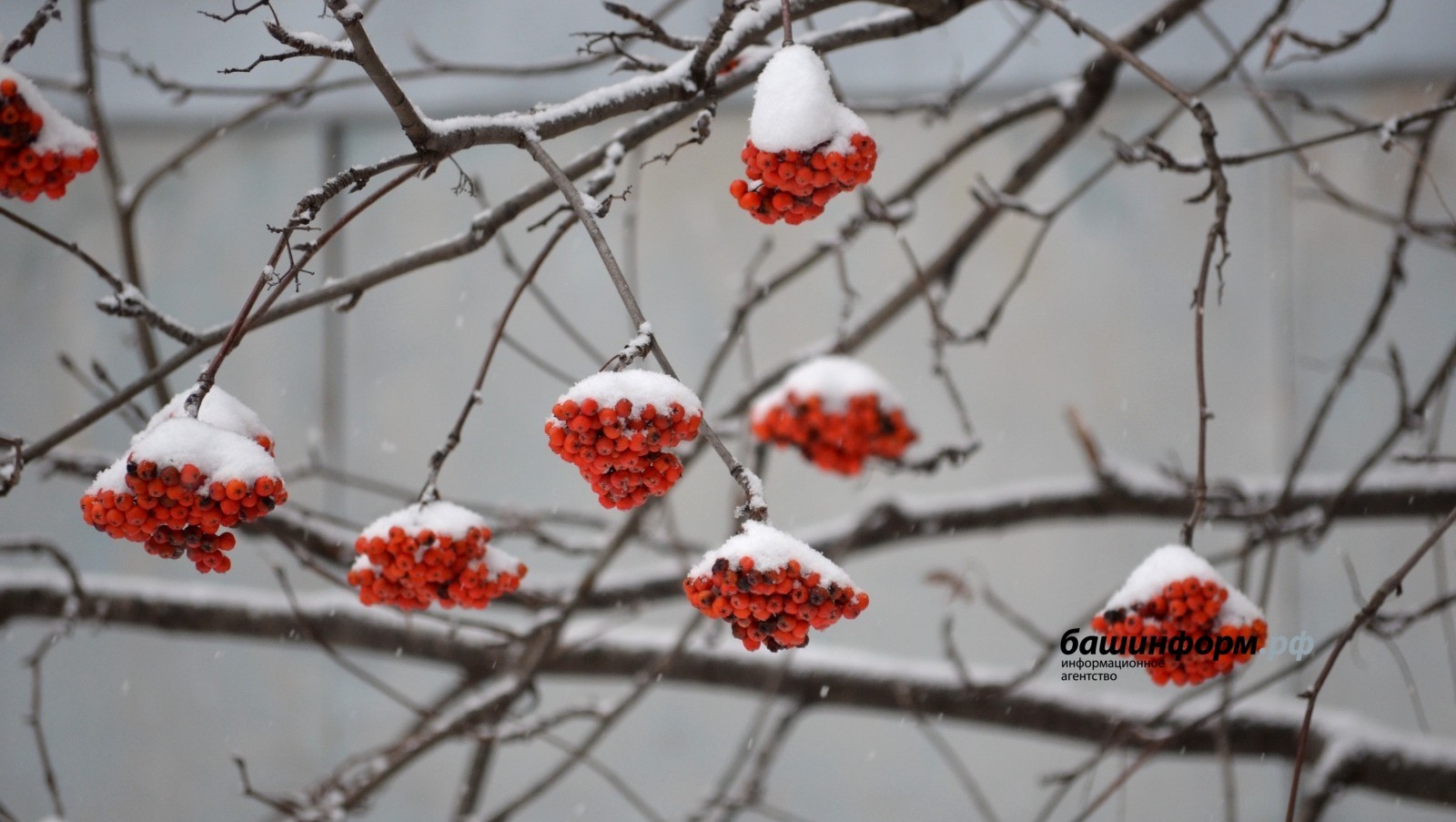 На Башкирию вновь обрушится ледяной дождь