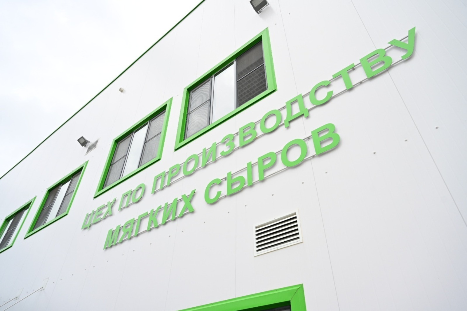 Для производства мягких сыров в Башкирии создадут новые молочные фермы