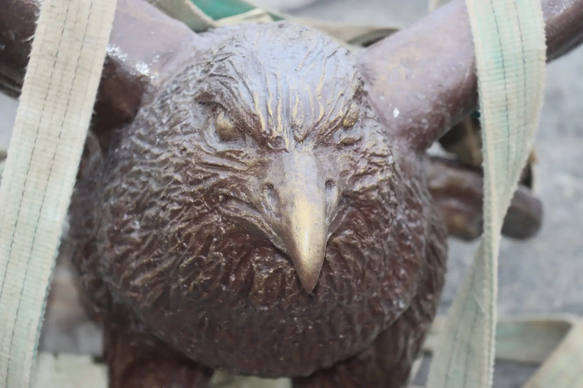 В Акъяре на свое место вернулся орел!