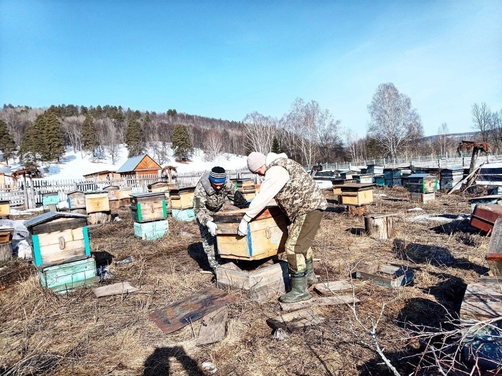 В Башкирии пчеловоды раньше обычного достали ульи из зимовника