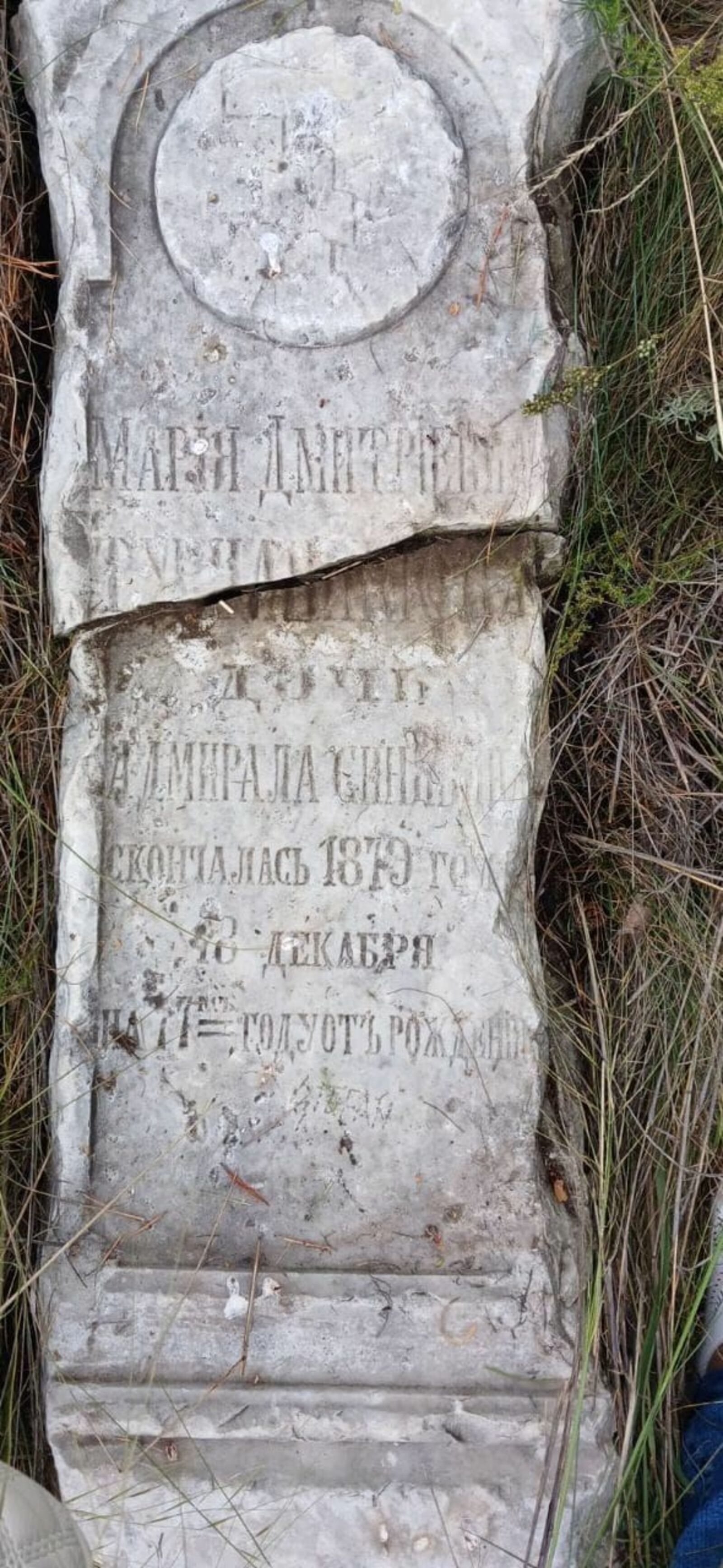 С возвращением домой, княжна