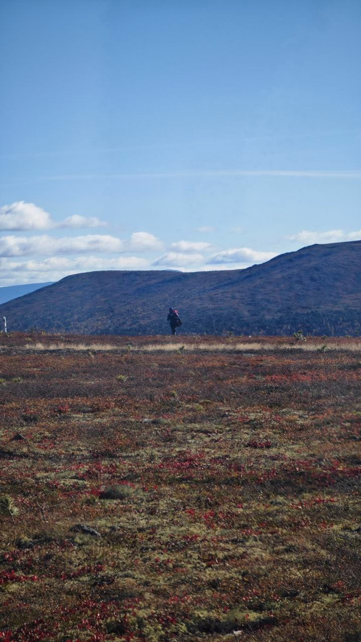 Девушка в одиночку прошла 2300 километров по Большой уральской тропе