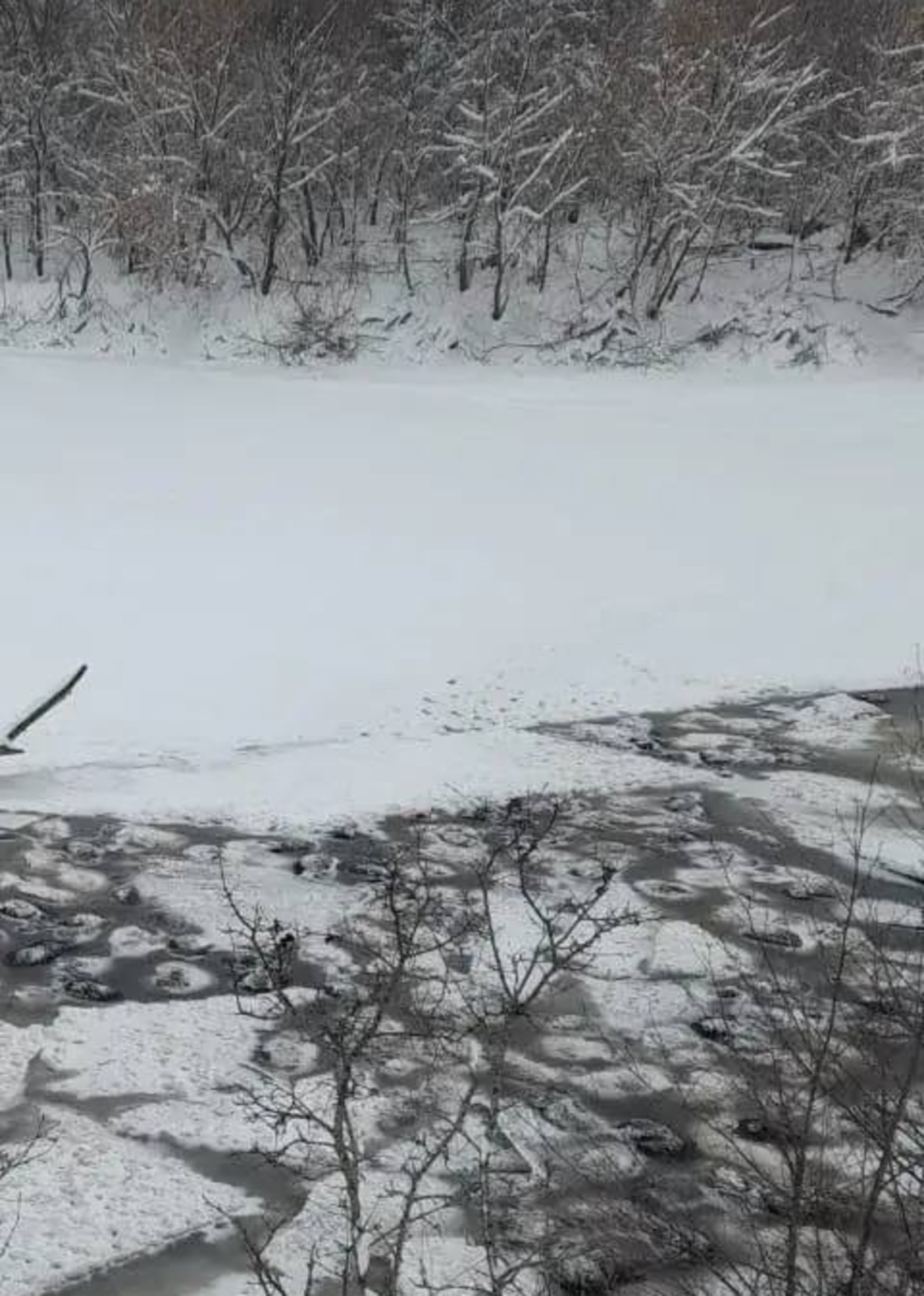 В Башкирии под лед провалились более 200 баранов