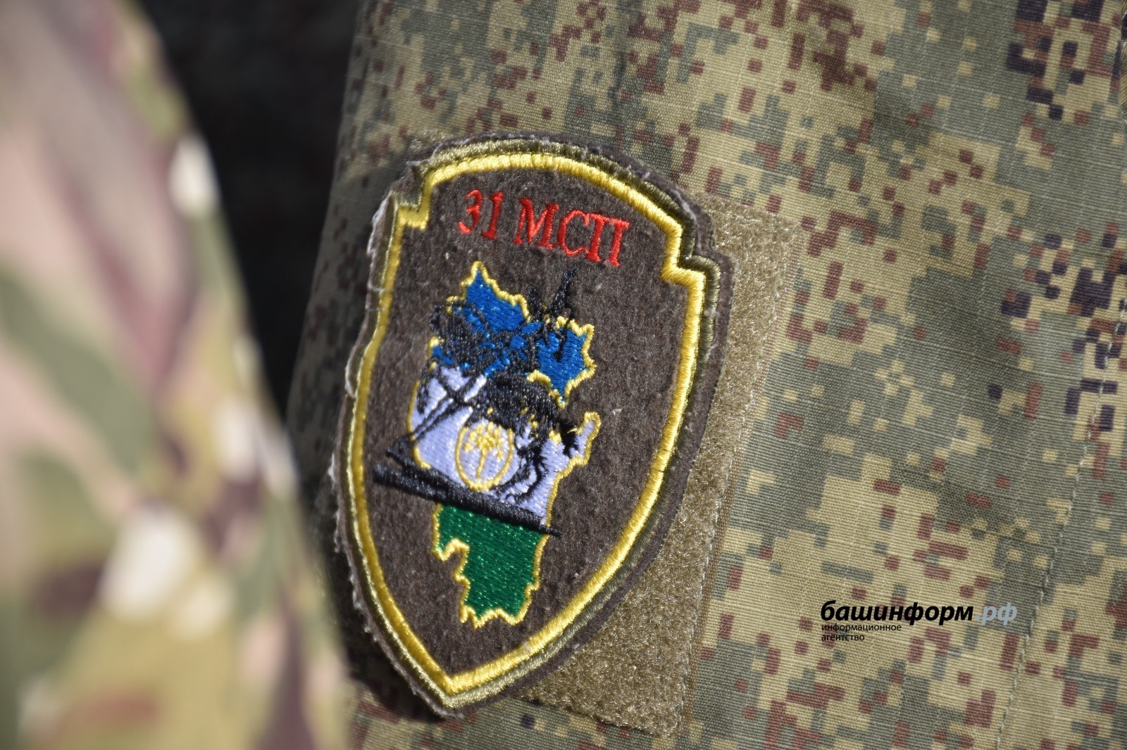 Участники СВО из Башкирии могут получить второе образование