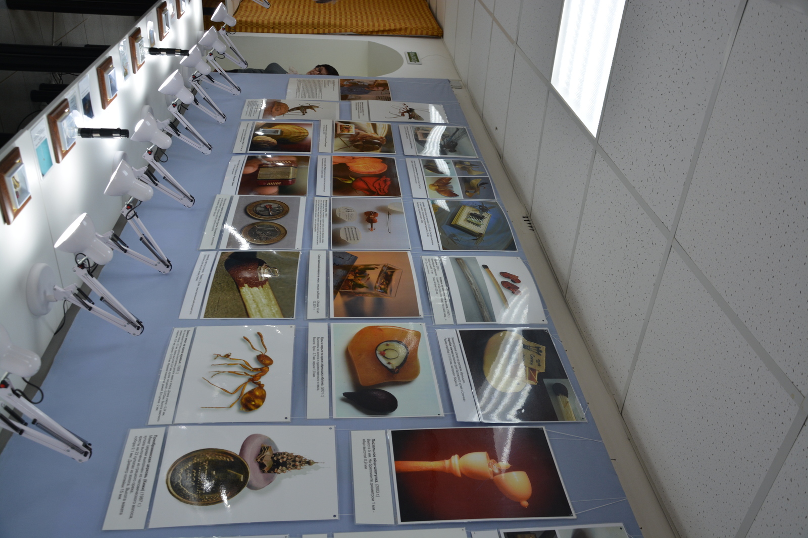 «Сибирский Левша», или Микромир Анатолия Коненко