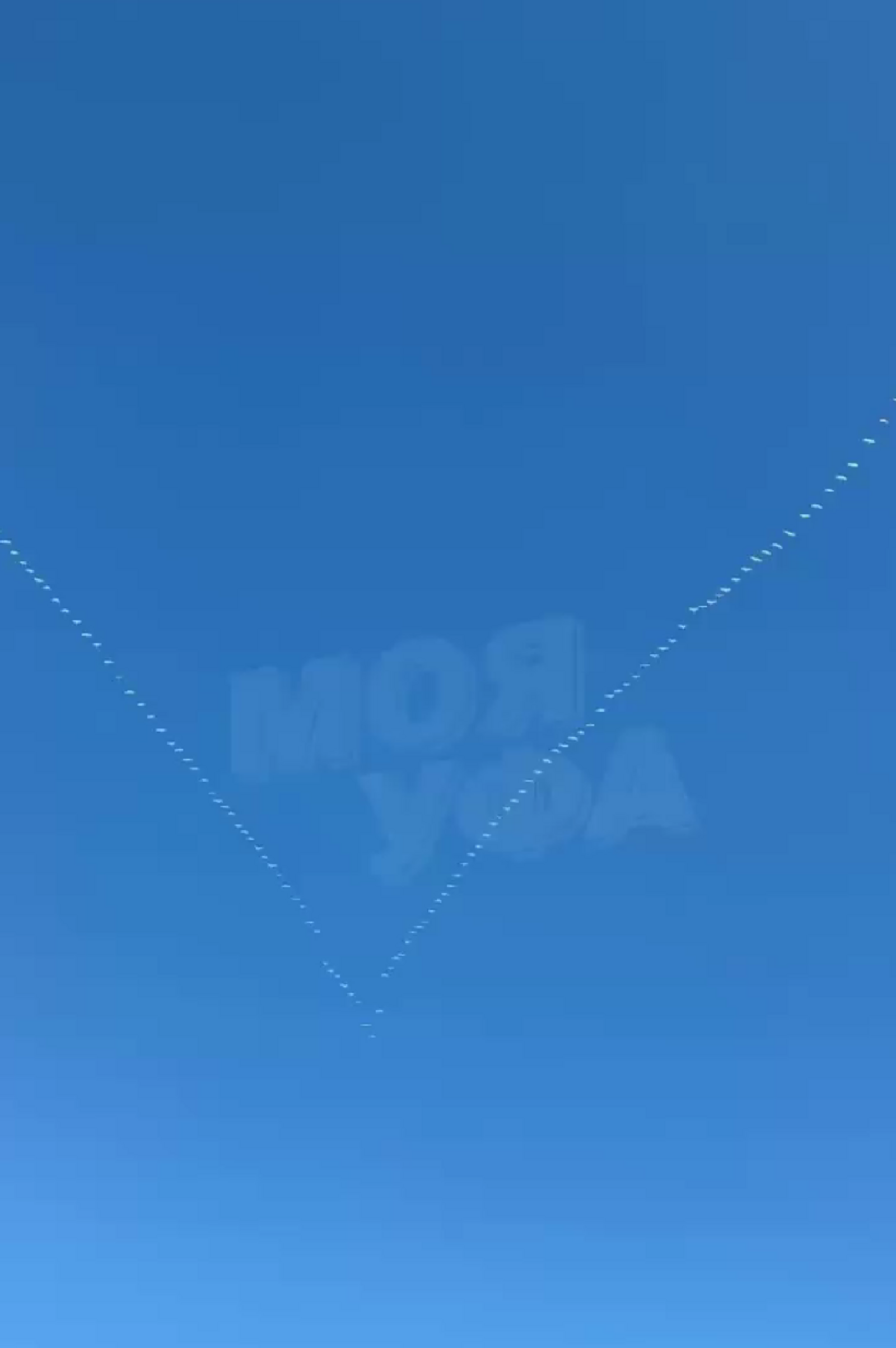 В небе над Башкирией заметили клин белых лебедей