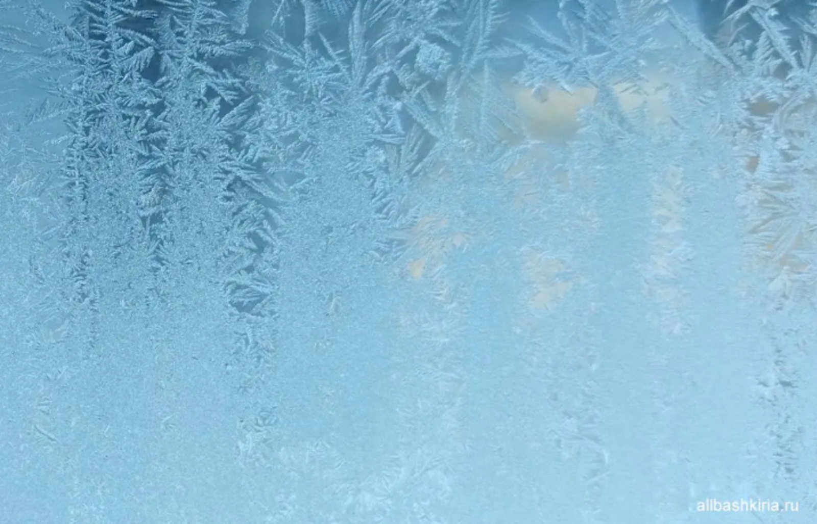 Стало известно, при каком минусе школьники Башкирии могут остаться дома