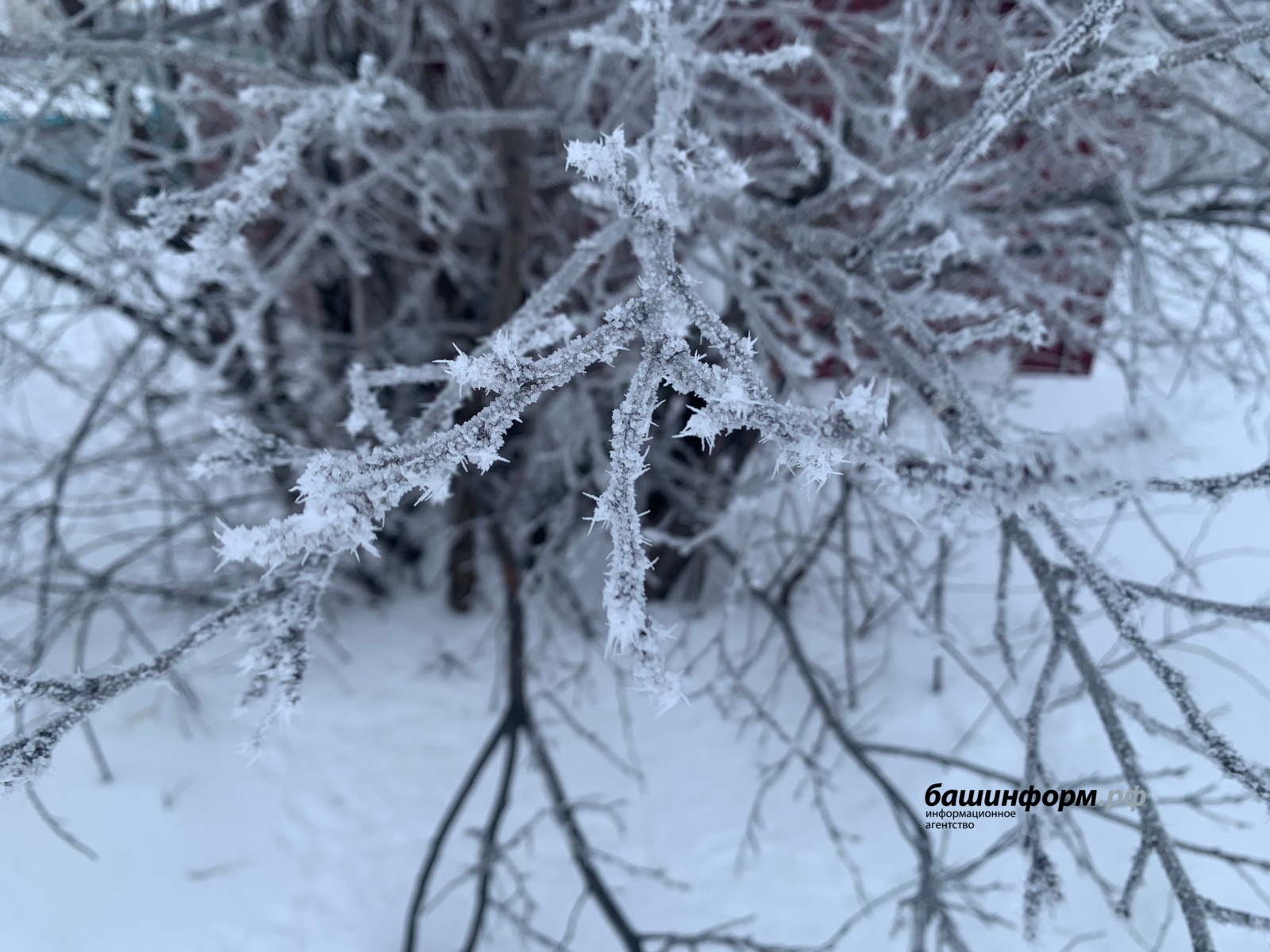 Синоптики Башкирии рассказали о погоде в ближайшие дни