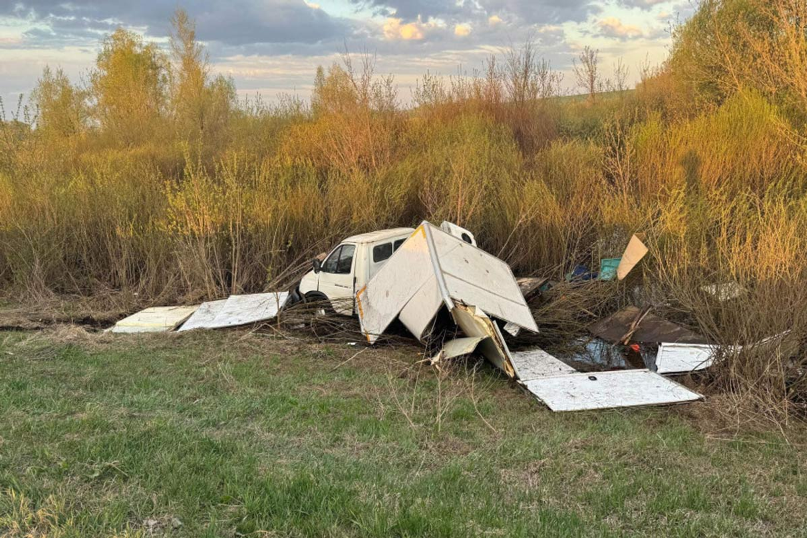 Лось погиб под колесами Газели в Башкирии: водитель в больнице Источник: