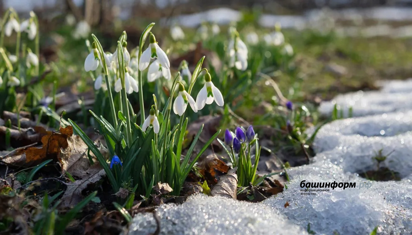 Аномальное тепло в Башкирии сохранится до конца недели