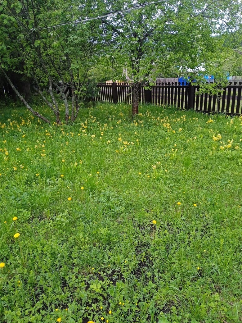 В природном заповеднике Башкирии обильно зацвели барашки