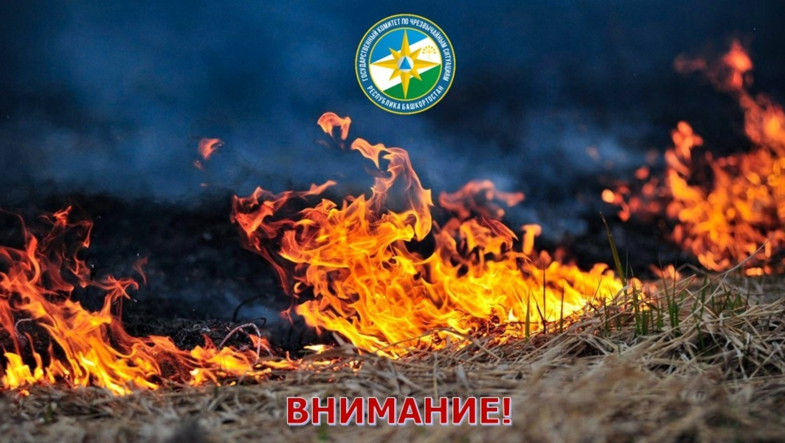 В юго-восточных районах Башкирии объявлена чрезвычайная пожароопасность