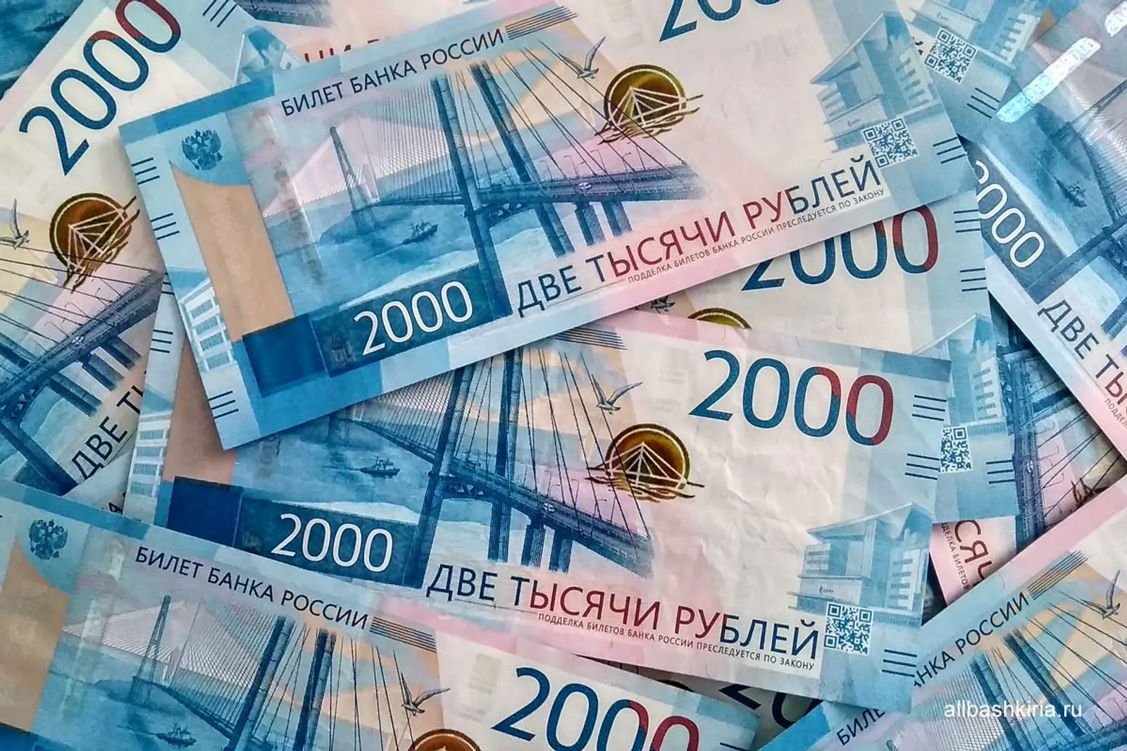 В Башкирии женщину обвиняют в мошенничестве при реализации нацпроекта «Семья»
