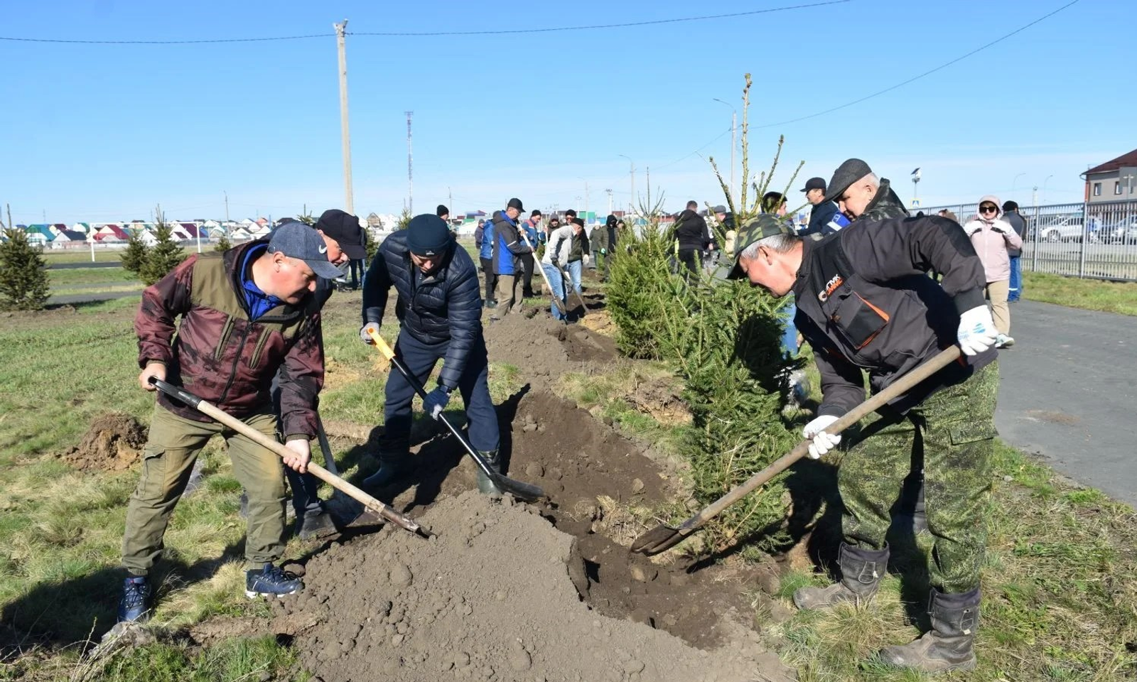 Хайбуллинский район зеленеет с каждой весной