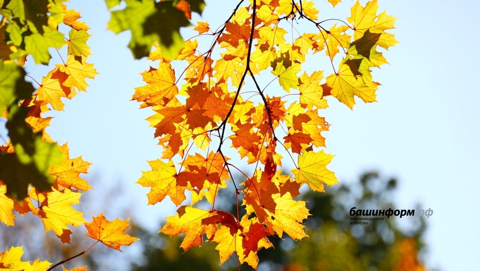 22 сентября жителей Башкирии ждет осеннее равноденствие