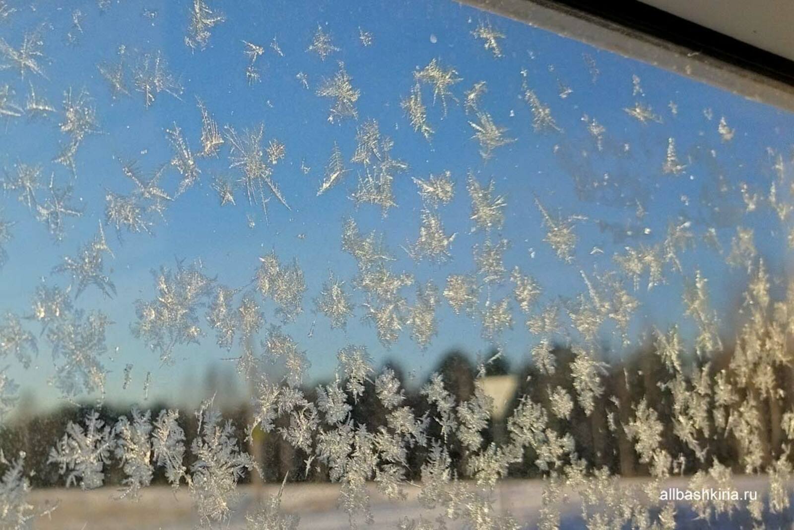 Морозы до -30°С ожидаются в Башкирии 22 января