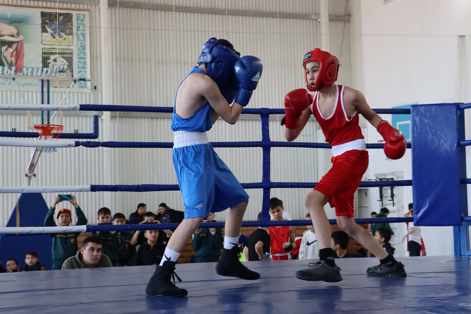 О развитии бокса в районе