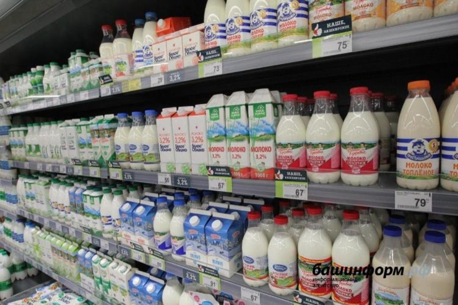 Где в Башкирии продавали самое дешёвое молоко