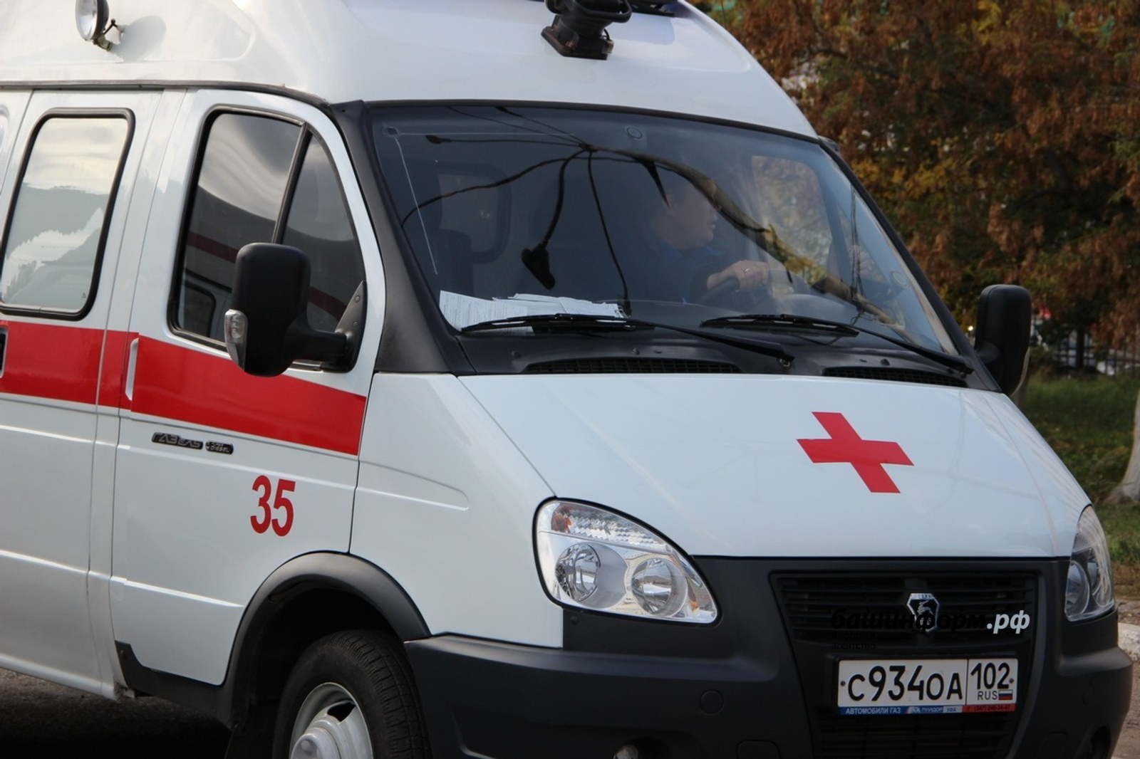 Бешеная рысь напала на жителя Башкирии