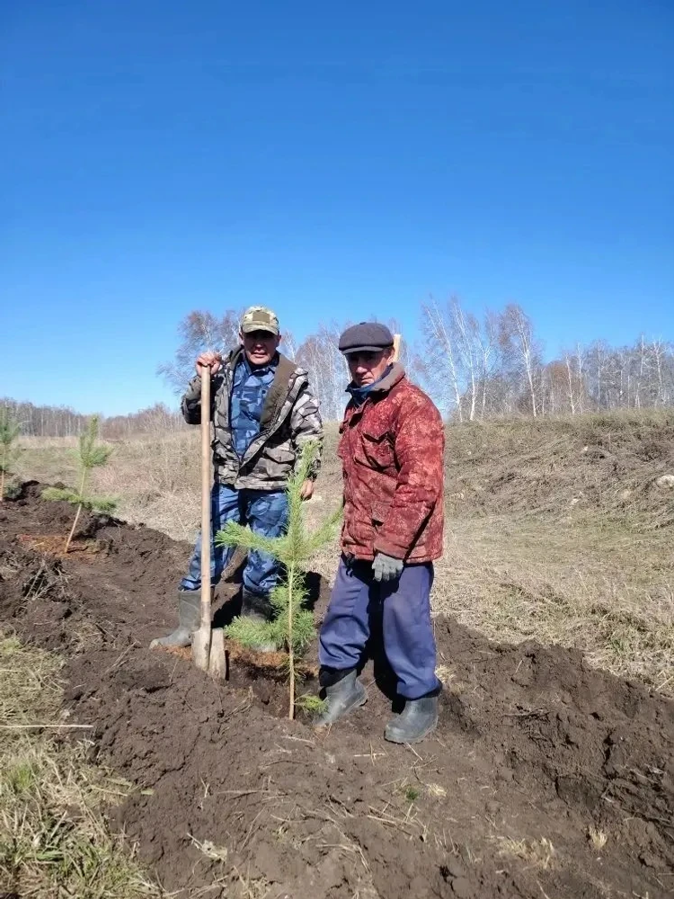 В республике стартовала международная эколого-патриотическая акция «Сад памяти»