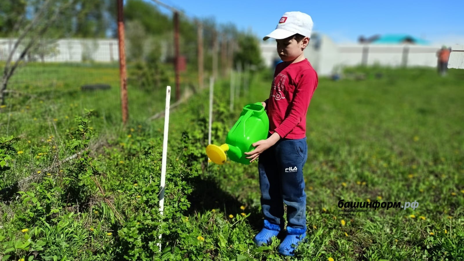 Дача — это маленькая жизнь. Башкирия отмечает День садовода