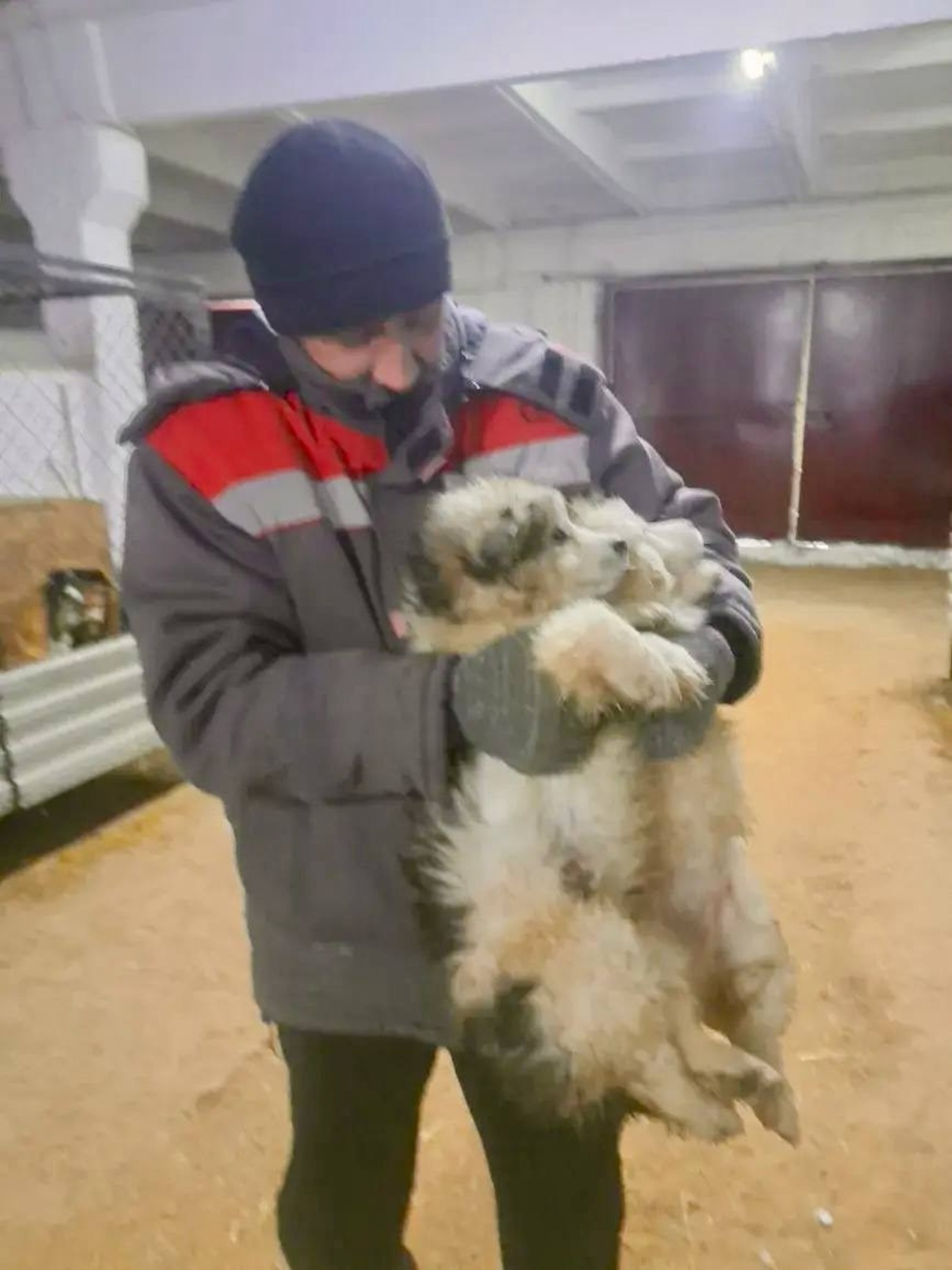 Чиновник из Башкирии рассказал историю удивительного спасения щенков