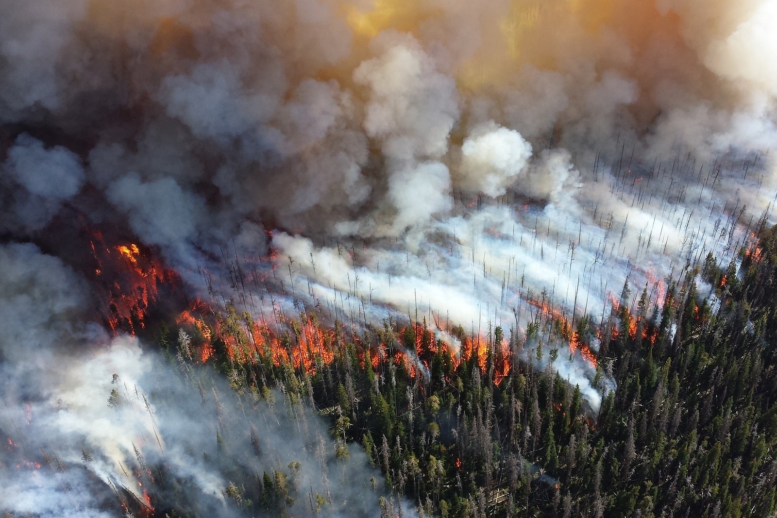 На территории лесного фонда Башкирии открылся пожароопасный сезон