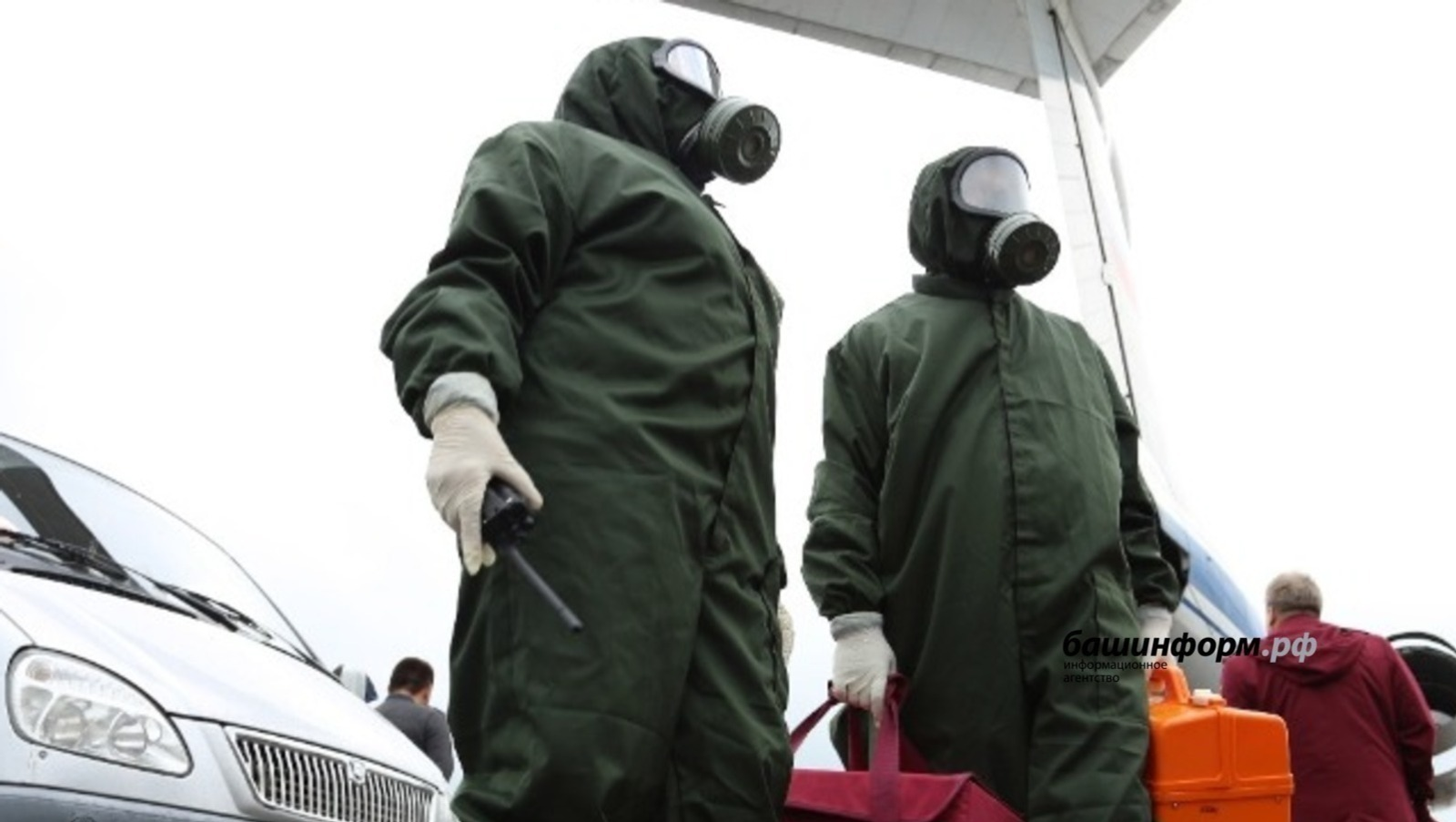 В Иглинском районе Башкирии ввели карантин по бешенству