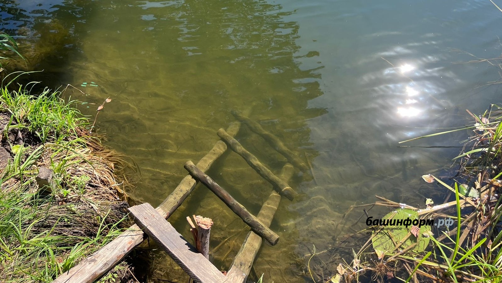 В Башкирии рыбак сломал руку и потерял телефон, спасаясь от медведя