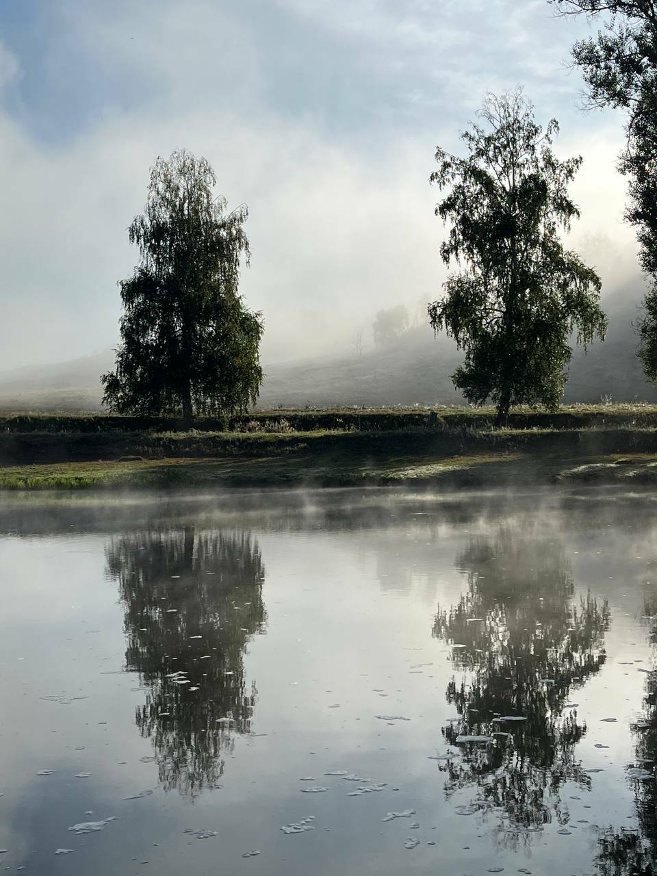 В фотоконкурсе от молодёжки и профсоюза «Башмеди» приняло участие 23 работника