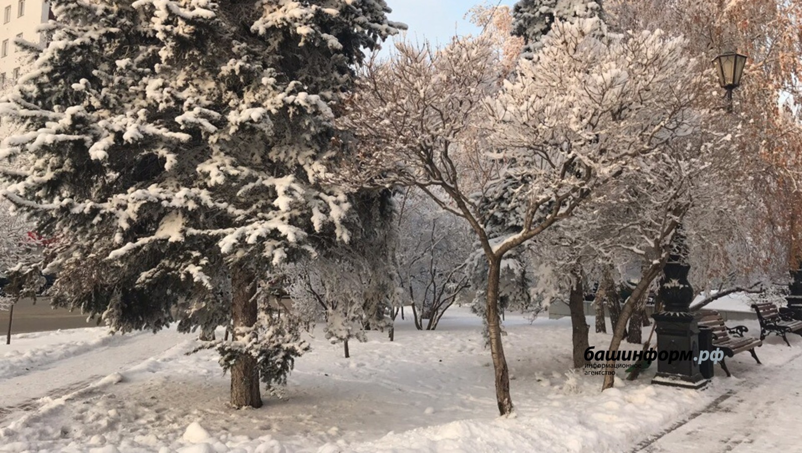 Жителей Башкирии ждет снежная погода